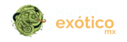 Mundo Exótico MX